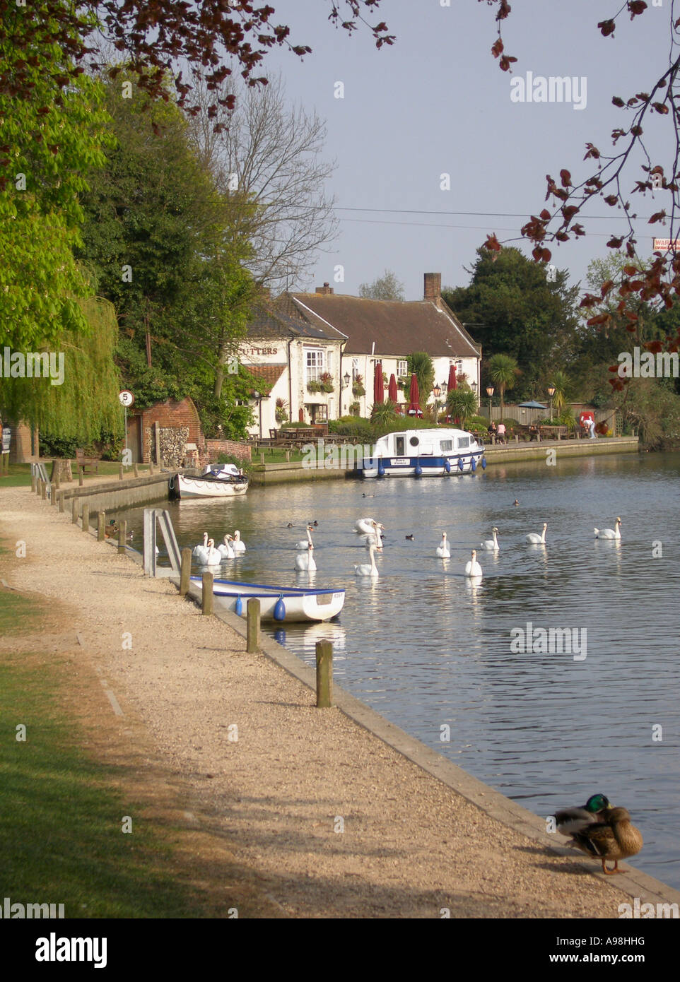 Die Norfolk Broads, Yare River mit dem Fluss grün bei Thorpe St Andrew, Norwich, Norfolk, England, UK, Großbritannien Stockfoto