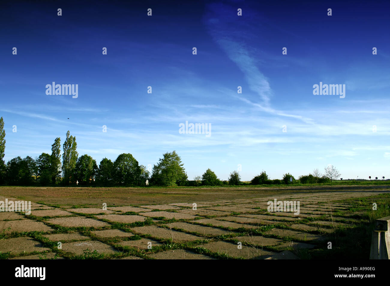 Verlassenes Betongelände mit auftauchendem Gras durch Risse, umgeben von hohen Pappelbäumen vor dramatischem blauen Himmel mit schroffen Wolken Stockfoto