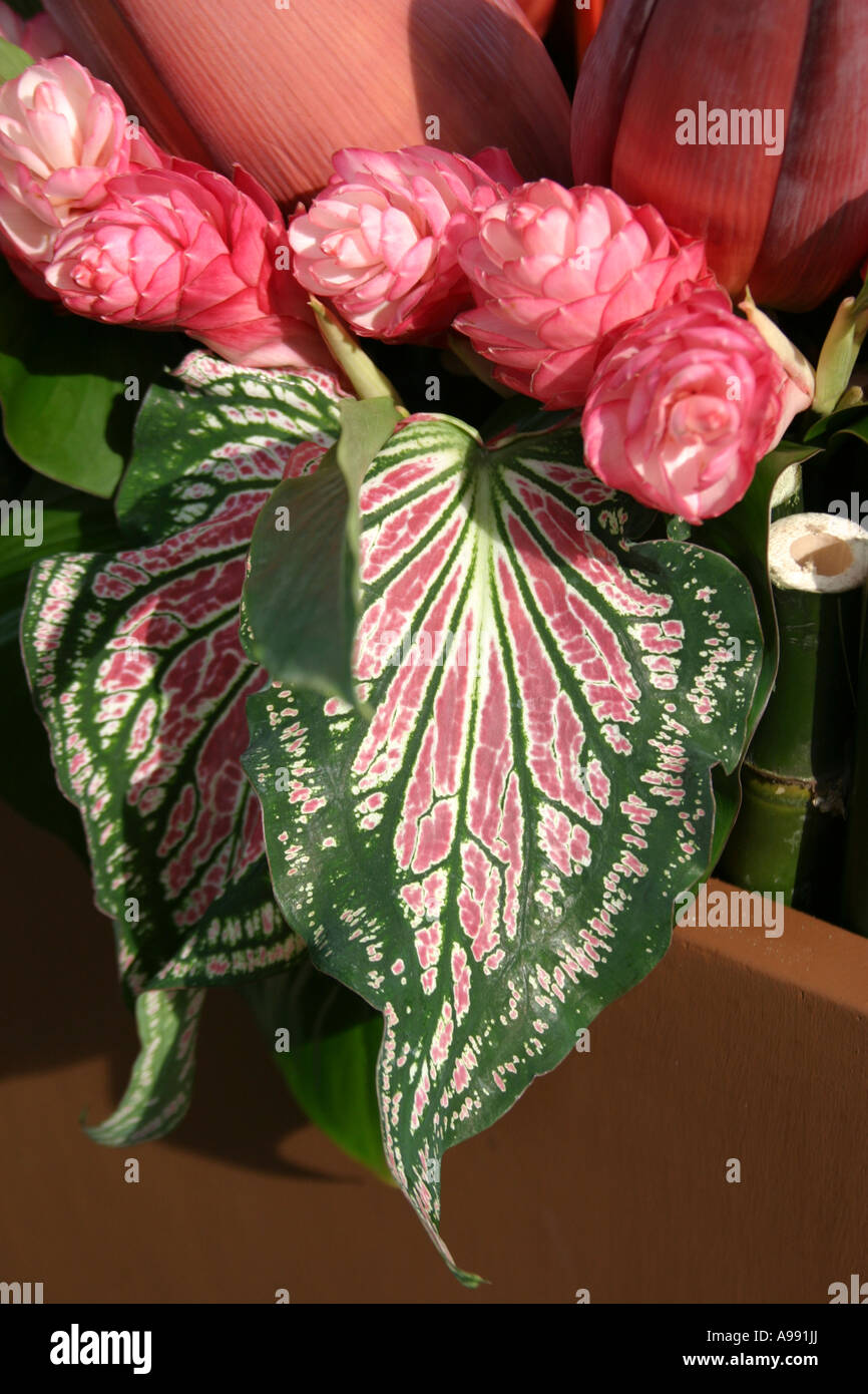 Florale Dekor-Detail an der berühmten Jim Thompson House und Seidenmuseum in Bangkok, Thailand Stockfoto