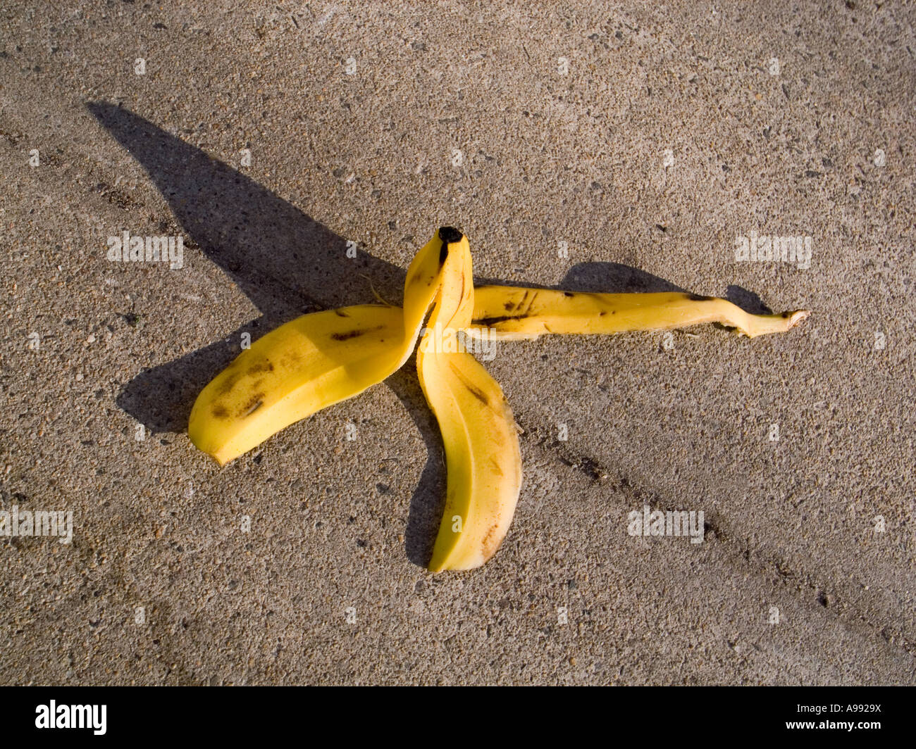 Bananenschale auf einem Bürgersteig-Gefahr-Konzept Stockfoto