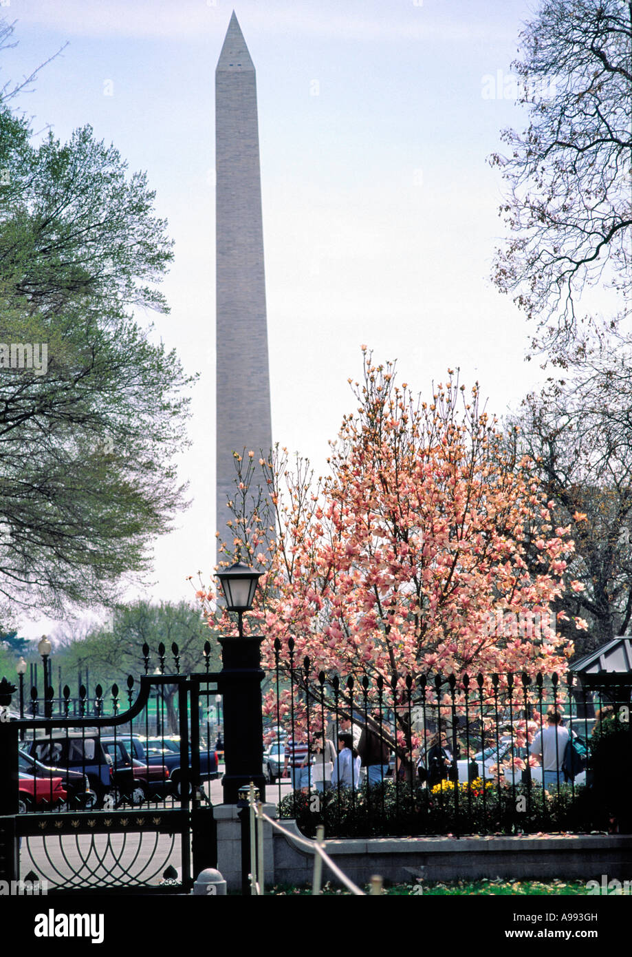 Washington Monument aus dem weißen Haus Toren Washington DC USA Stockfoto