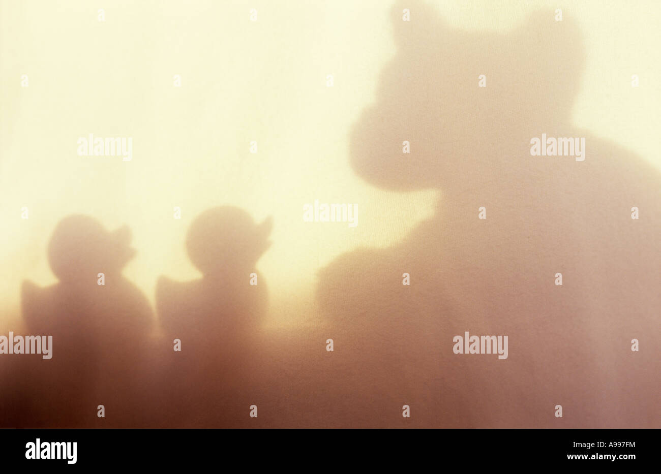 Schatten Sie in warmes Licht auf hellen Tuch oder Vorhang aus zwei kleine Enten Kopf-an-Zahl nach oben auf eine kluge Elder Statesman-Teddybär Stockfoto