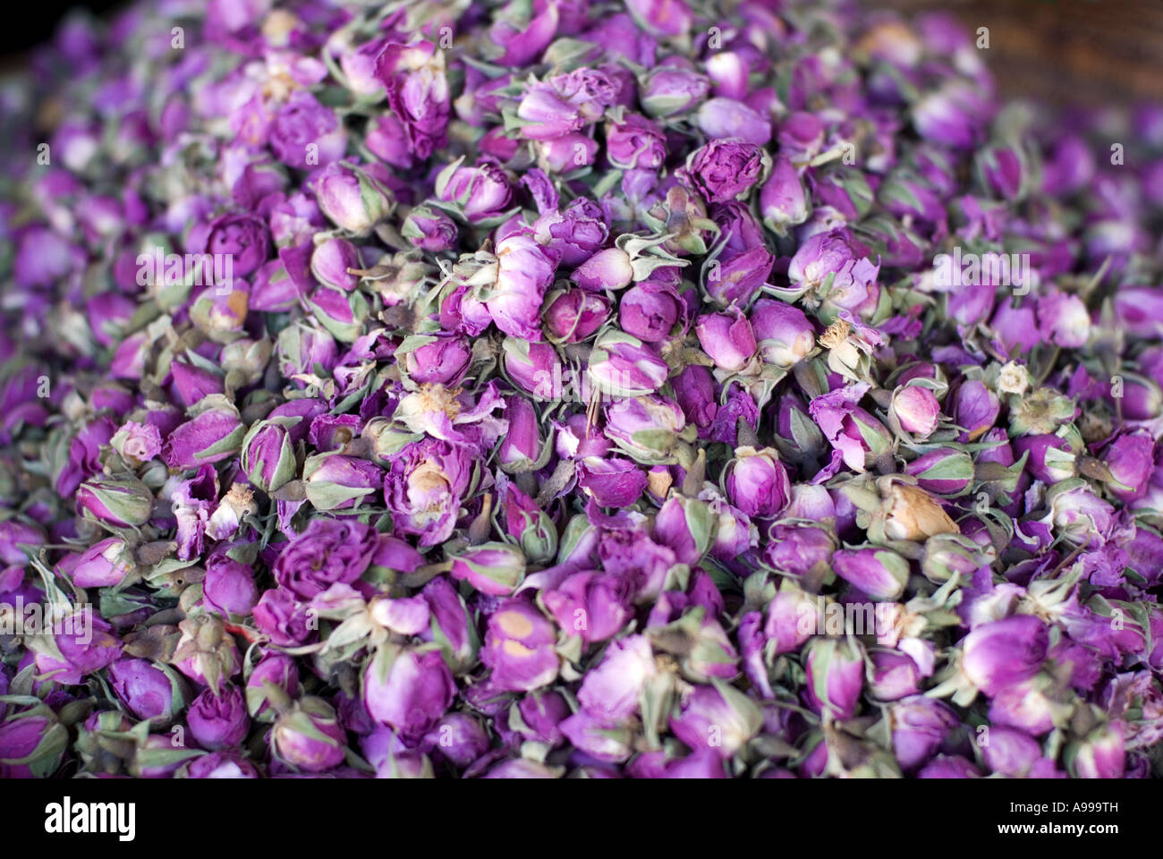 Getrocknete Rosenknospen zum Verkauf in eine Apotheke im Ort Rahba Qedima in den wichtigsten Souk von Marrakesch, Marokko Stockfoto