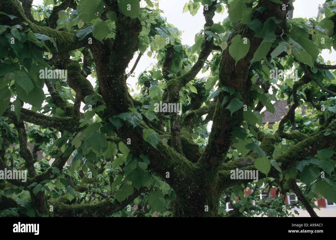 Schweiz-Saint-Ursanne Stockfoto