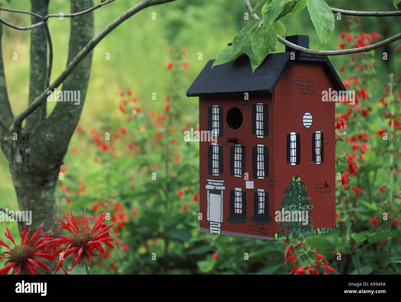 Schicke rote Vogelhaus oder Birdbox gemalt wie richtiges Zuhause im Schatten Garten Missouri USA Stockfoto