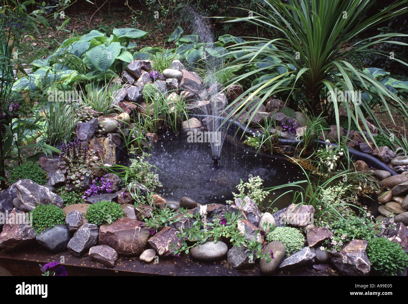 Kleiner Gartenteich mit Springbrunnen Hosta umgeben von Kieselsteinen