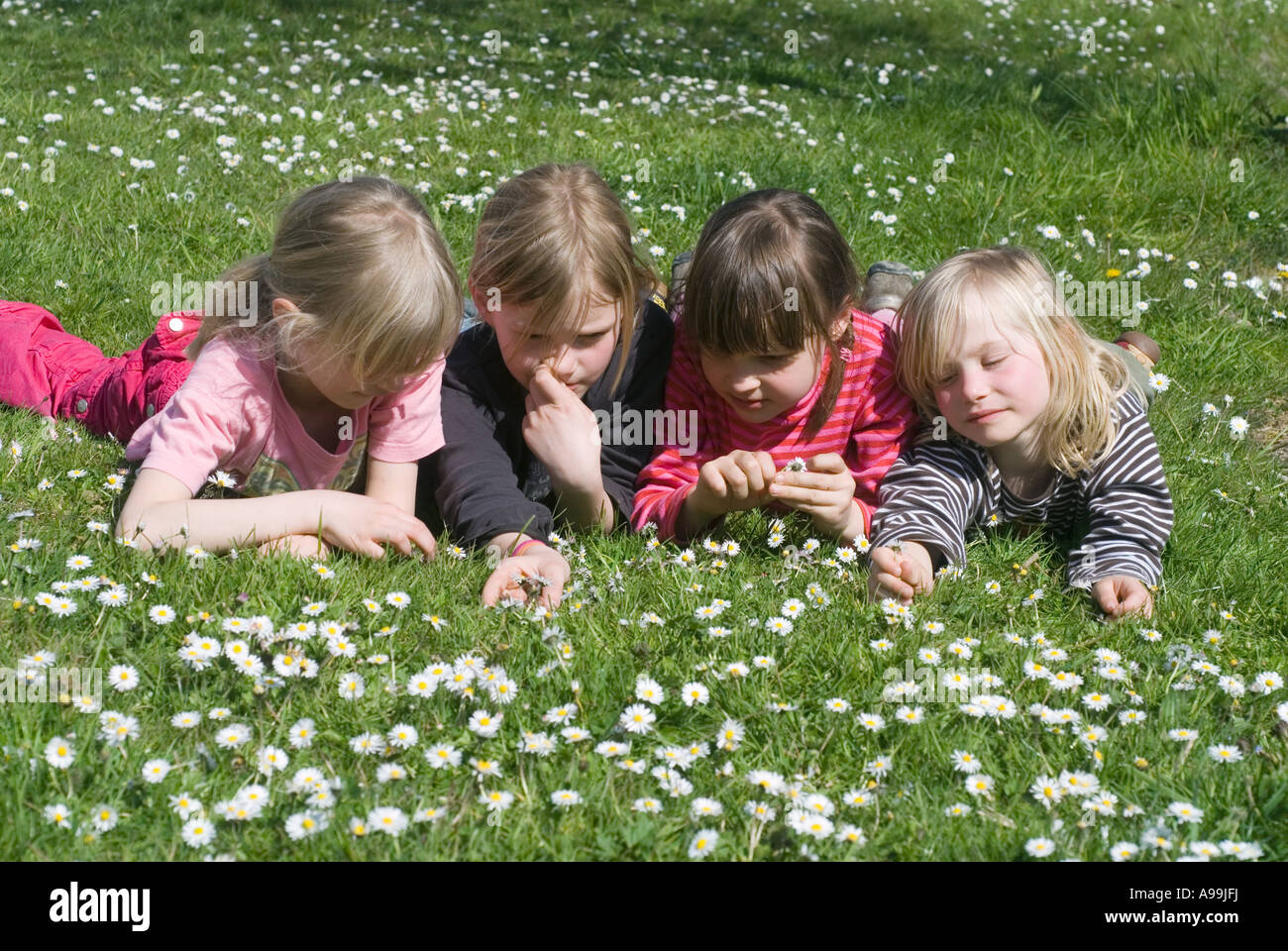 Junge Mädchen, 7 und 8 Jahre alt, liegen auf dem Rasen mit daisy