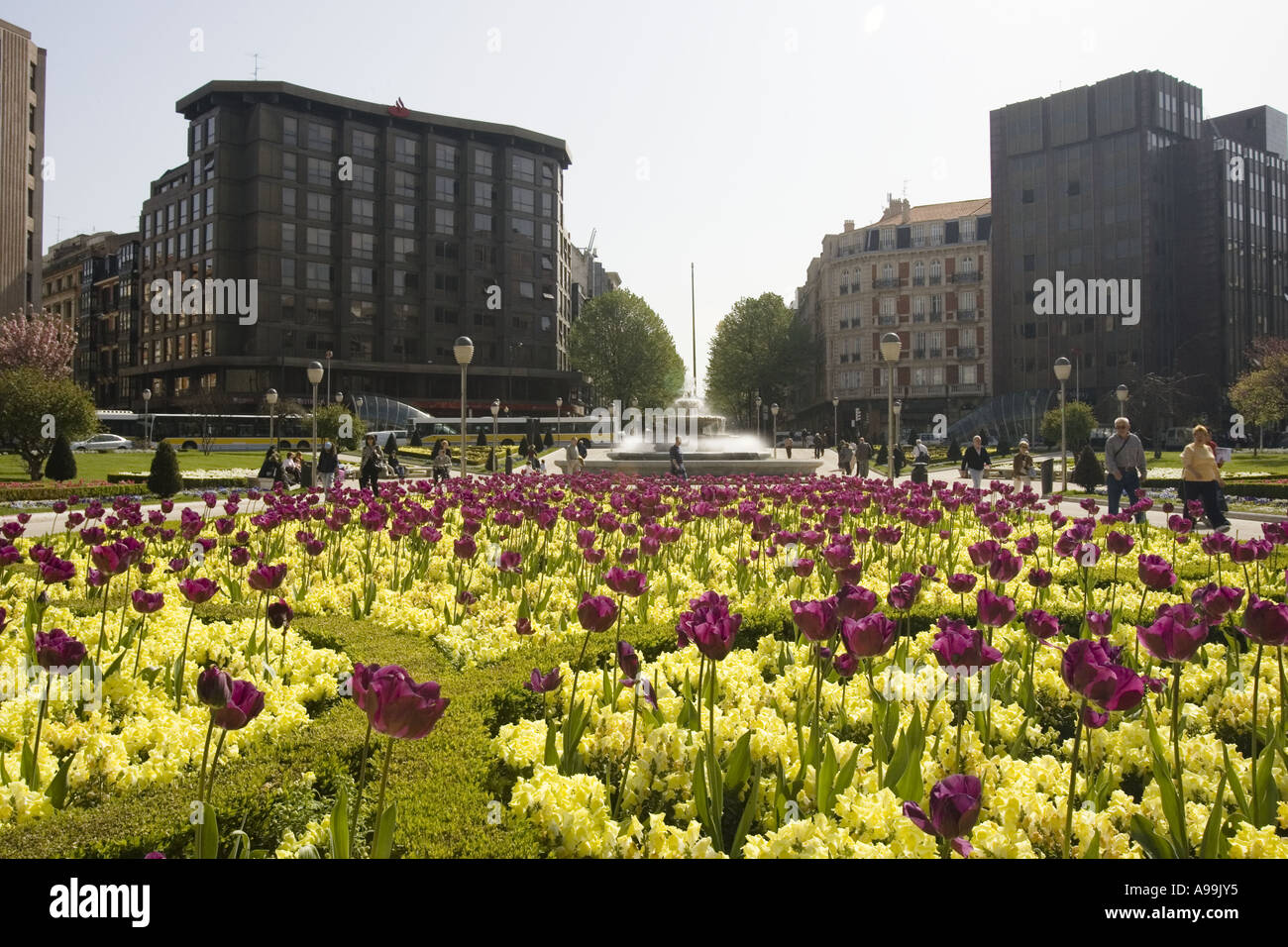 Frühlingsblumen in der Sonne, Plaza Moyua, Pais Vasco Bilbao / Baskenland, Nord-Spanien und Europa. Stockfoto