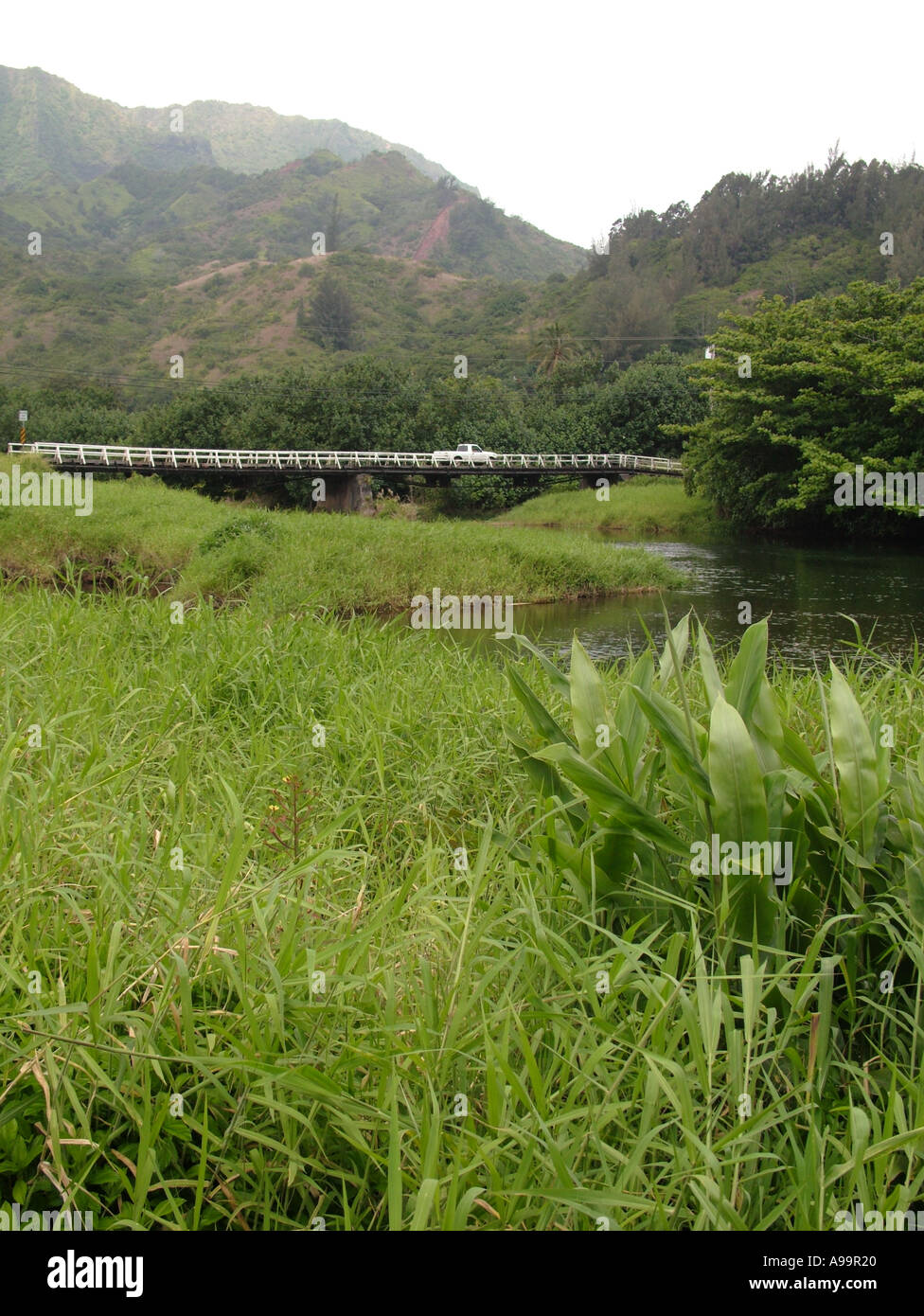 AJD41187, Wainiha, Princeville, HI auf Kauai, Hawaii Stockfoto