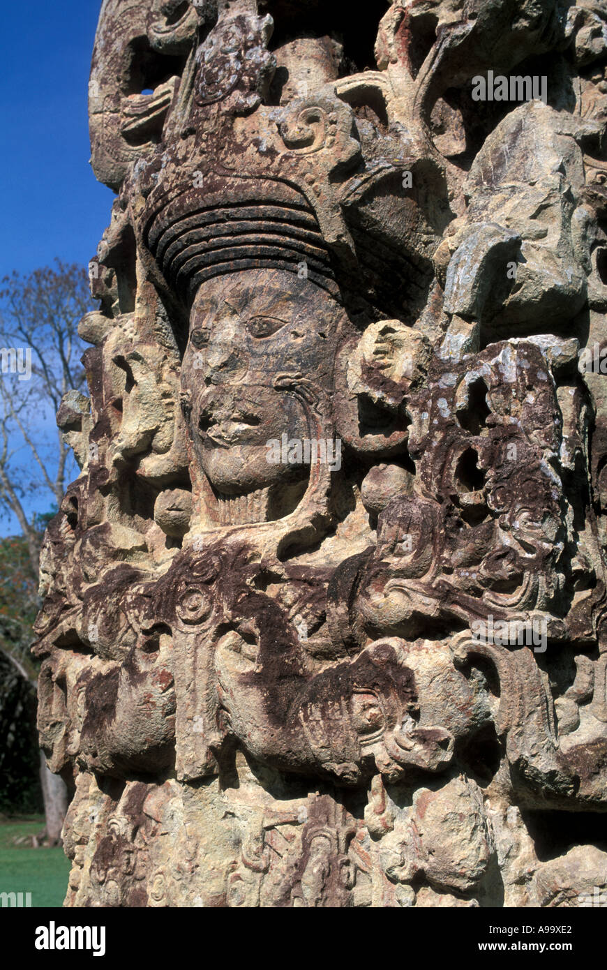 Honduras Copan Ruinas Maya-Ruinen Skulptur Maya-Kunst große Plaza Stele B 731 A D vertikale Religion Mittelamerika Stockfoto
