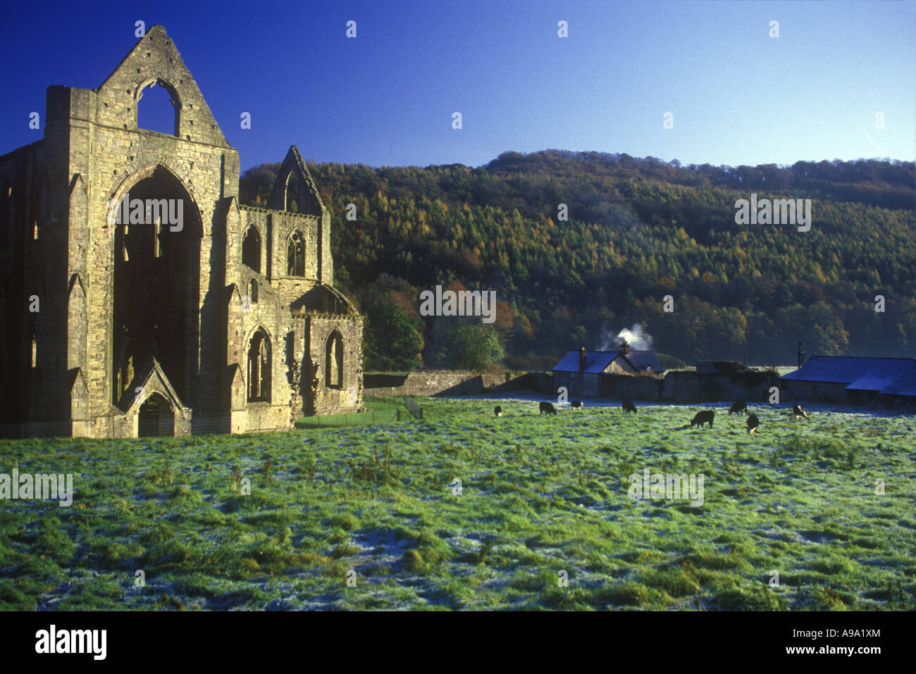 TINTERN ABBEY RUINEN WYE VALLEY MONMOUTHSHIRE GWENT SOUTH WALES UK Stockfoto