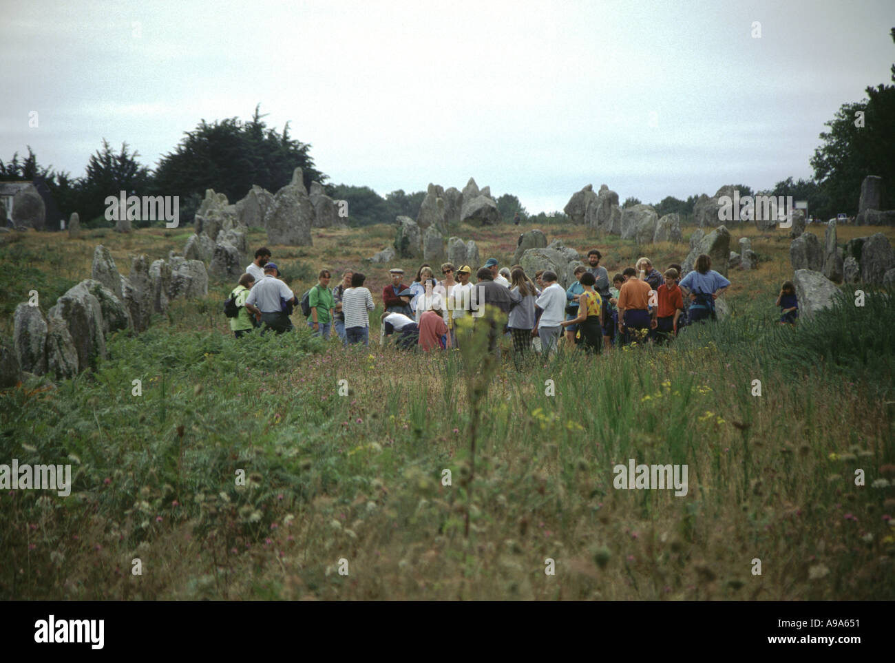 Ausrichtung der Menhire in Carnac in der Bretagne Stockfoto