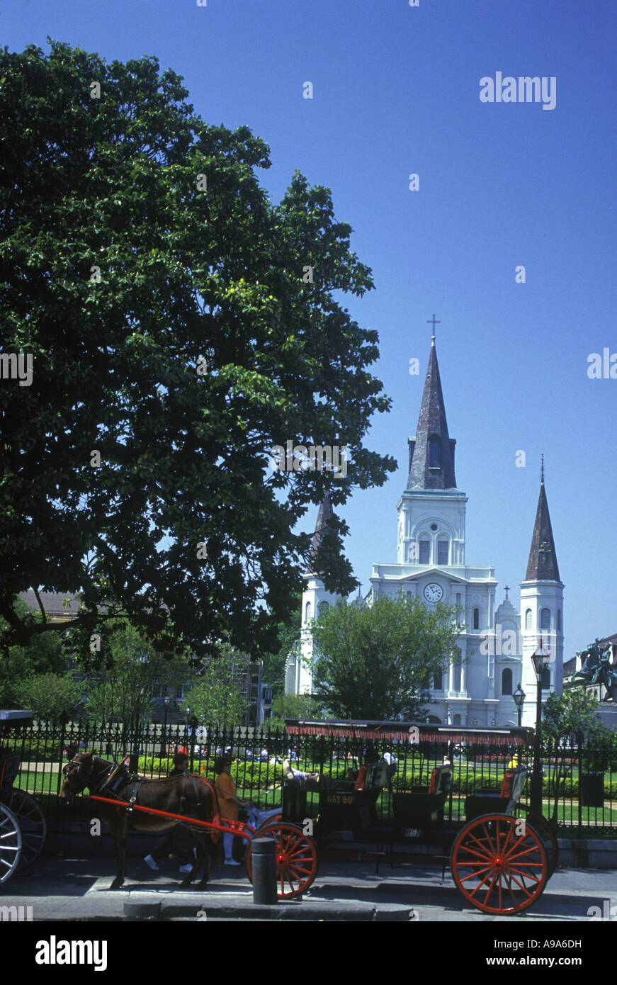 PFERD KUTSCHE SIGHTSEEING TOUREN JACKSON SQUARE FRENCH QUARTER NEW ORLEANS LOUISIANA USA Stockfoto