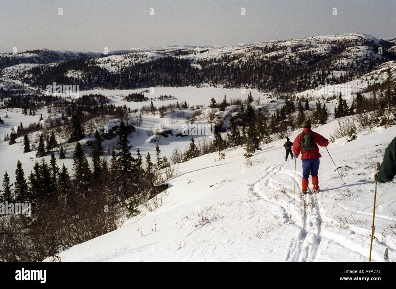 Langlauf in Norwegen Stockfoto