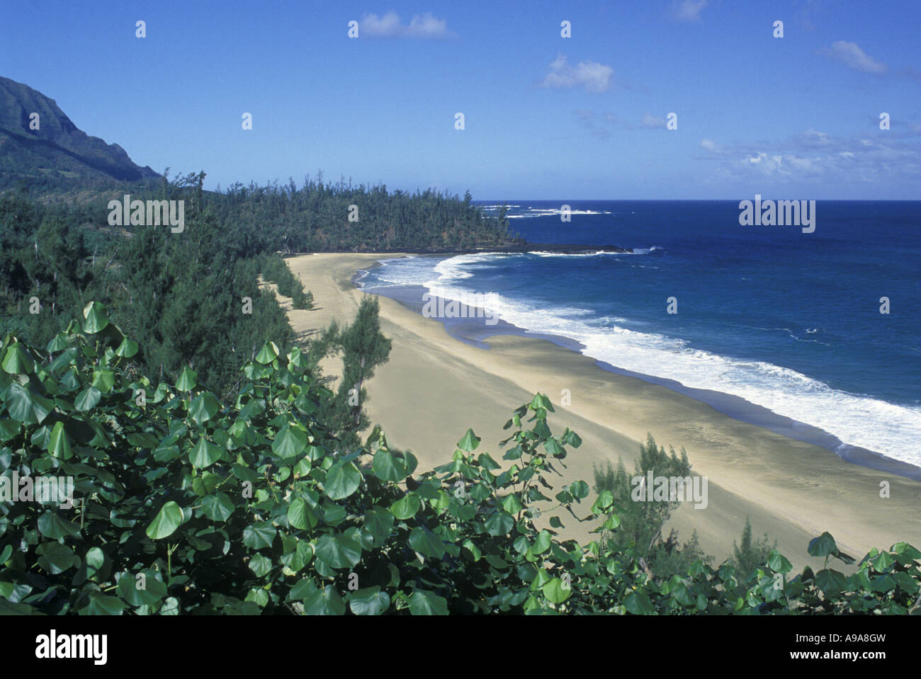 LUMAHAI STRAND HANALEI BAY KAUAI KÜSTE HAWAII USA Stockfoto