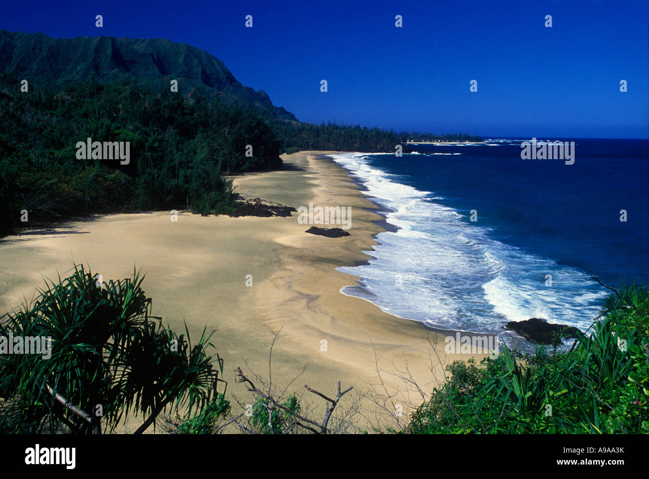 LUMAHAI STRAND HANALEI BAY KÜSTE KAUAI HAWAII USA Stockfoto