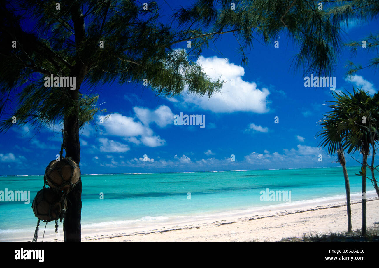 Strandszene North Caicos Turks Caicos-Inseln Karibik Nick Hanna 2003 Stockfoto