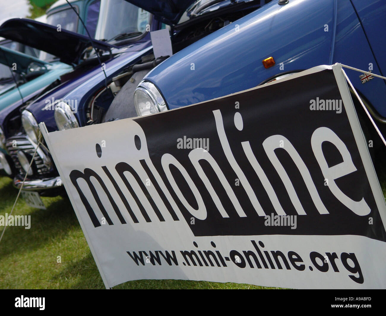 Minis reihten sich mit ihren Motorhauben auf der Rennstrecke in der Nähe des Dorfes Castle Combe Wiltshire England GB 2003 Stockfoto