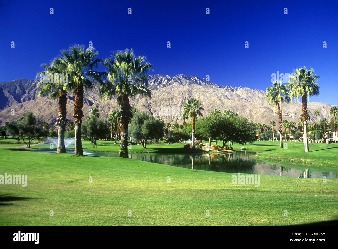 MESQUITE GOLF COUNTRY CLUB PALM SPRINGS RIVERSIDE COUNTY KALIFORNIEN USA Stockfoto