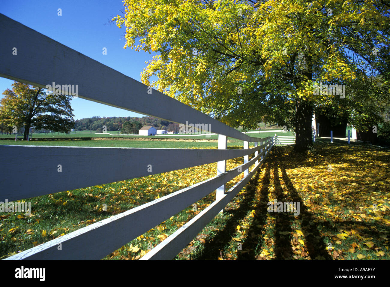 WEIßEN HÖLZERNEN PFERD BAUERNHOF ZAUN HERBST LAUB PLUM CREEK INDIANA
