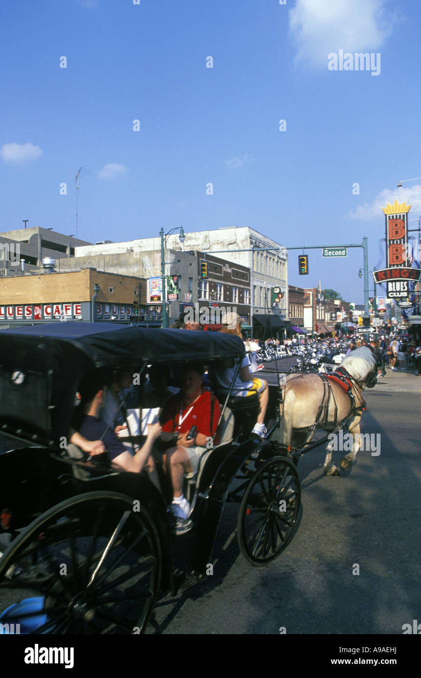 PFERD KUTSCHE SIGHTSEEING TOUR BEALE STREET MEMPHIS TENNESSEE USA Stockfoto