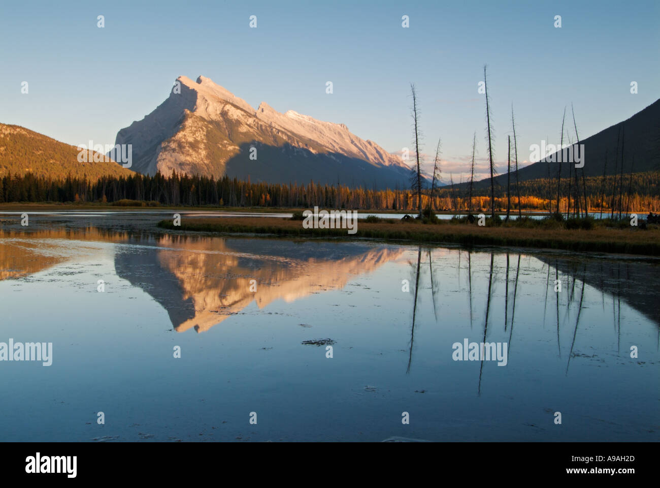 Mount Rundle erhebt sich über Banff Township von Vermillion Seen fahren Banff Nationalpark Kanada Nordamerika Alberta Stockfoto