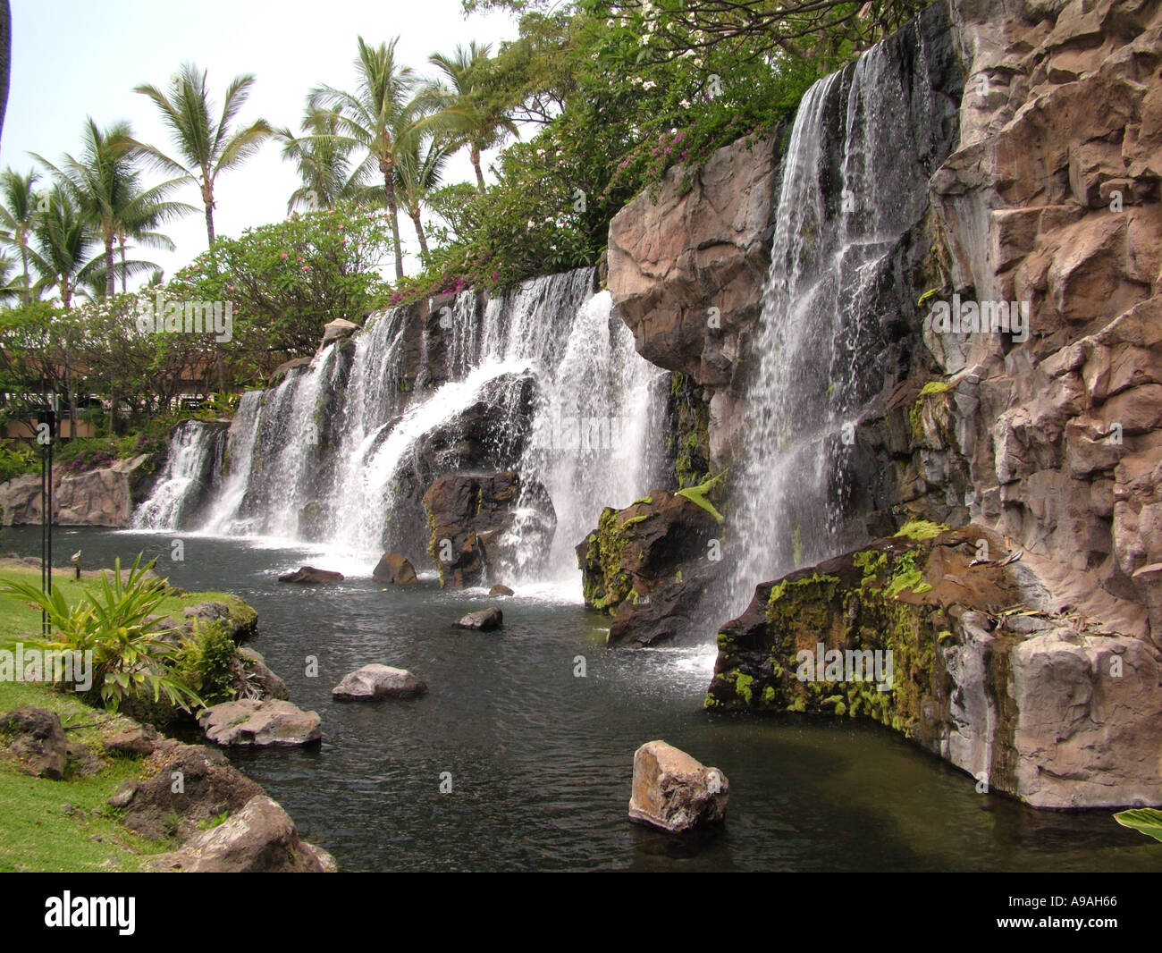 AJD41633, Wailea, Maui, HI, Hawaii Stockfoto