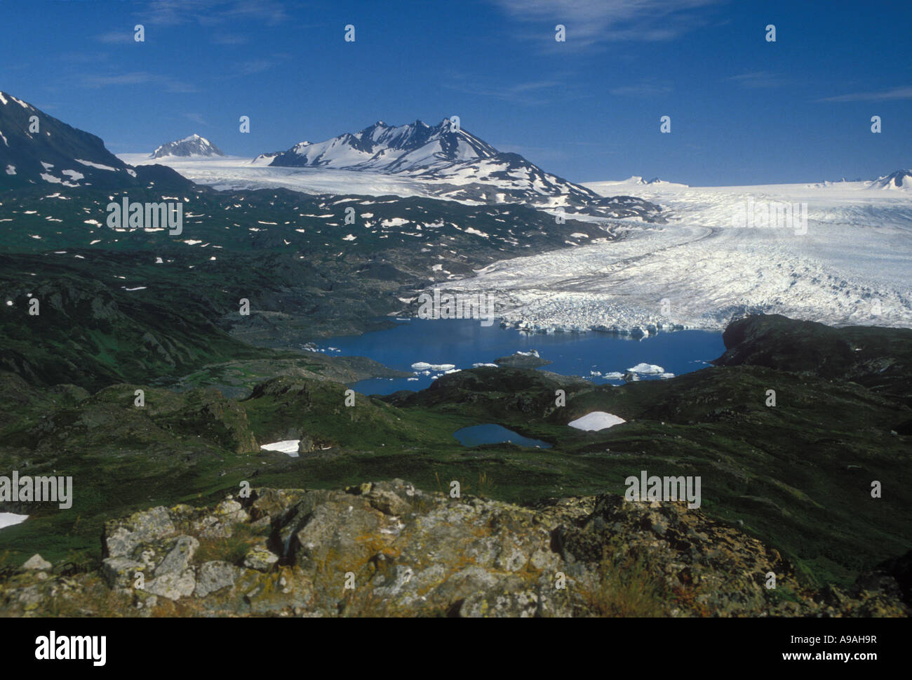 Tustumena Gletscher, arktischen See, Harding Icefield, Kenai Fjords Ntl. Park und Kenai Ntl. Wildlife Refuge, Kenai Mounains. Alaska Stockfoto