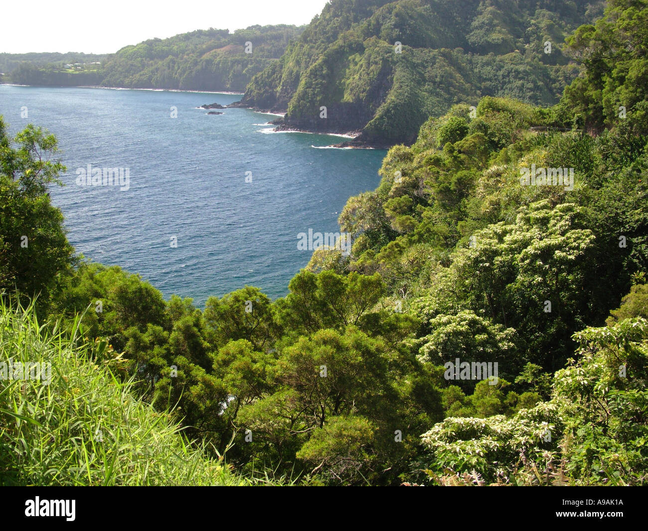 AJD41739, Maui, HI, Hawaii Stockfoto