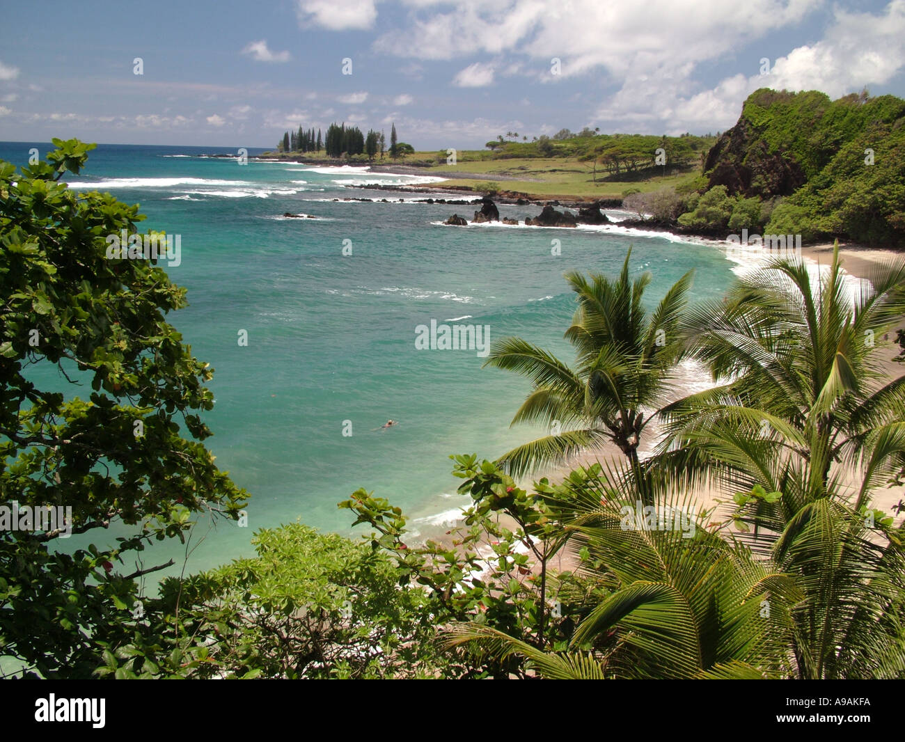 AJD41785, Maui, HI, Hawaii Stockfoto