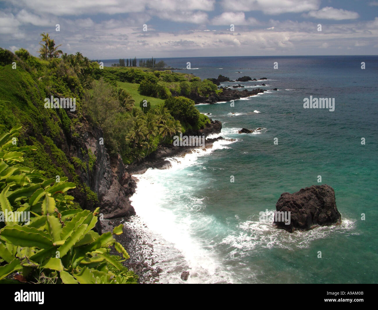 AJD41788, Maui, HI, Hawaii Stockfoto