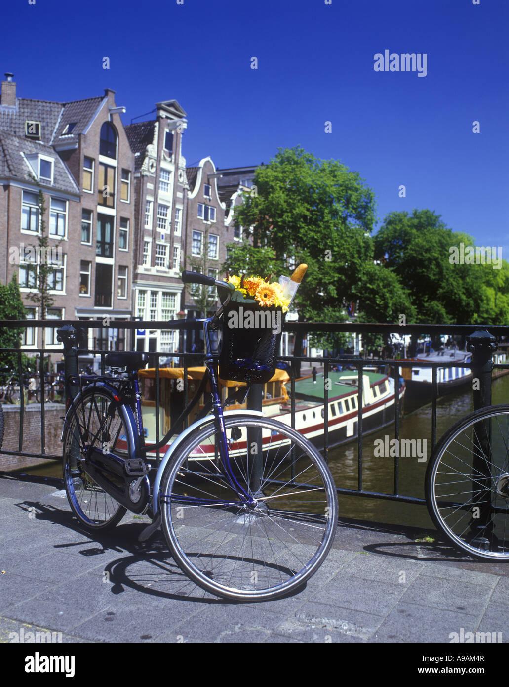 Hollandrad mit korb -Fotos und -Bildmaterial in hoher Auflsung  Alamy