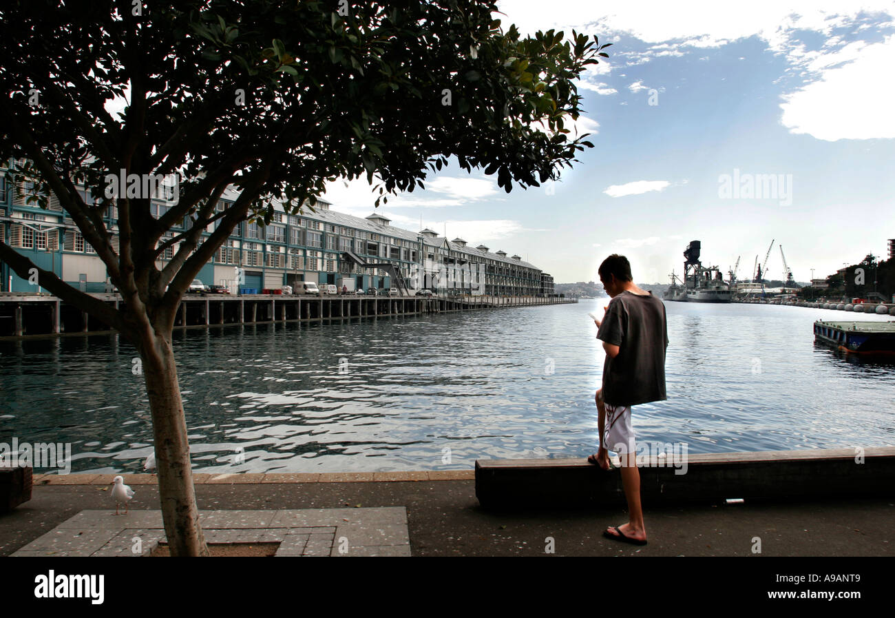 Die denkmalgeschützte Woolloomooloo Bay Wharf im Hafen von Sydney ist Heimat von Russell Crowe und anderen prominenten Sydney Stockfoto