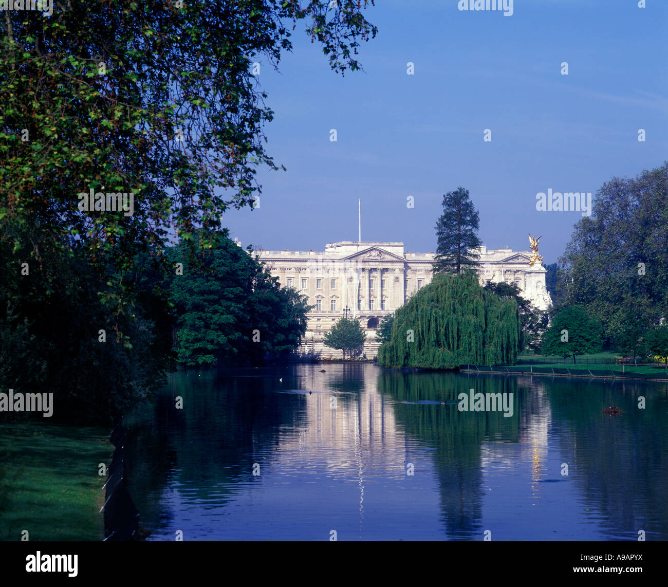 BUCKINGHAM PALACE LAKE SAINT JAMES PARK LONDON ENGLAND UK Stockfoto