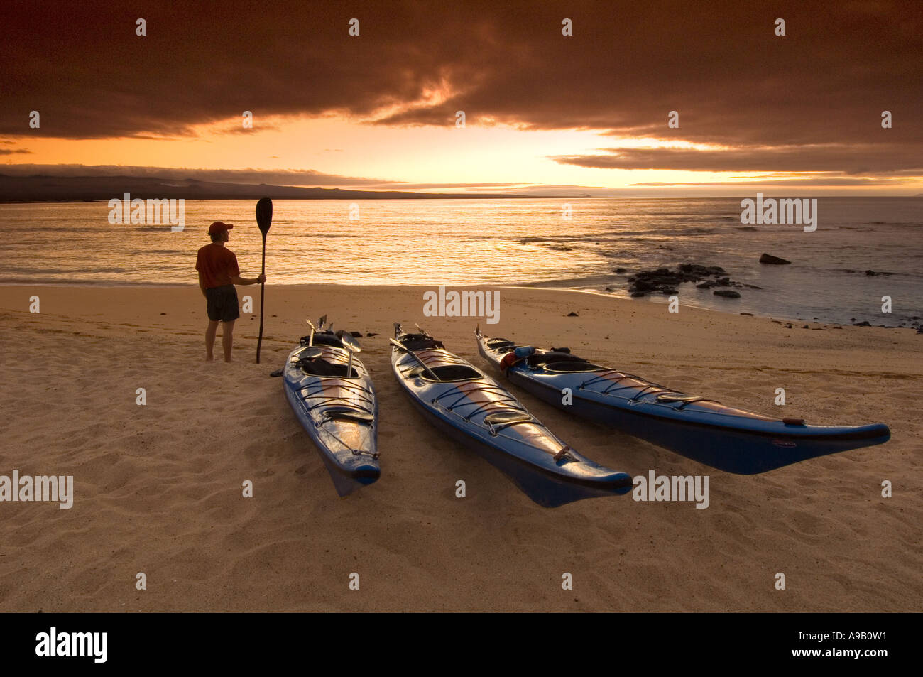 Südamerika Lateinamerika Ecuador Galapagosinseln Baltra Insel in der Nähe von Santa Cruz Island Tourist mit Paddel und Meer am Strand Stockfoto