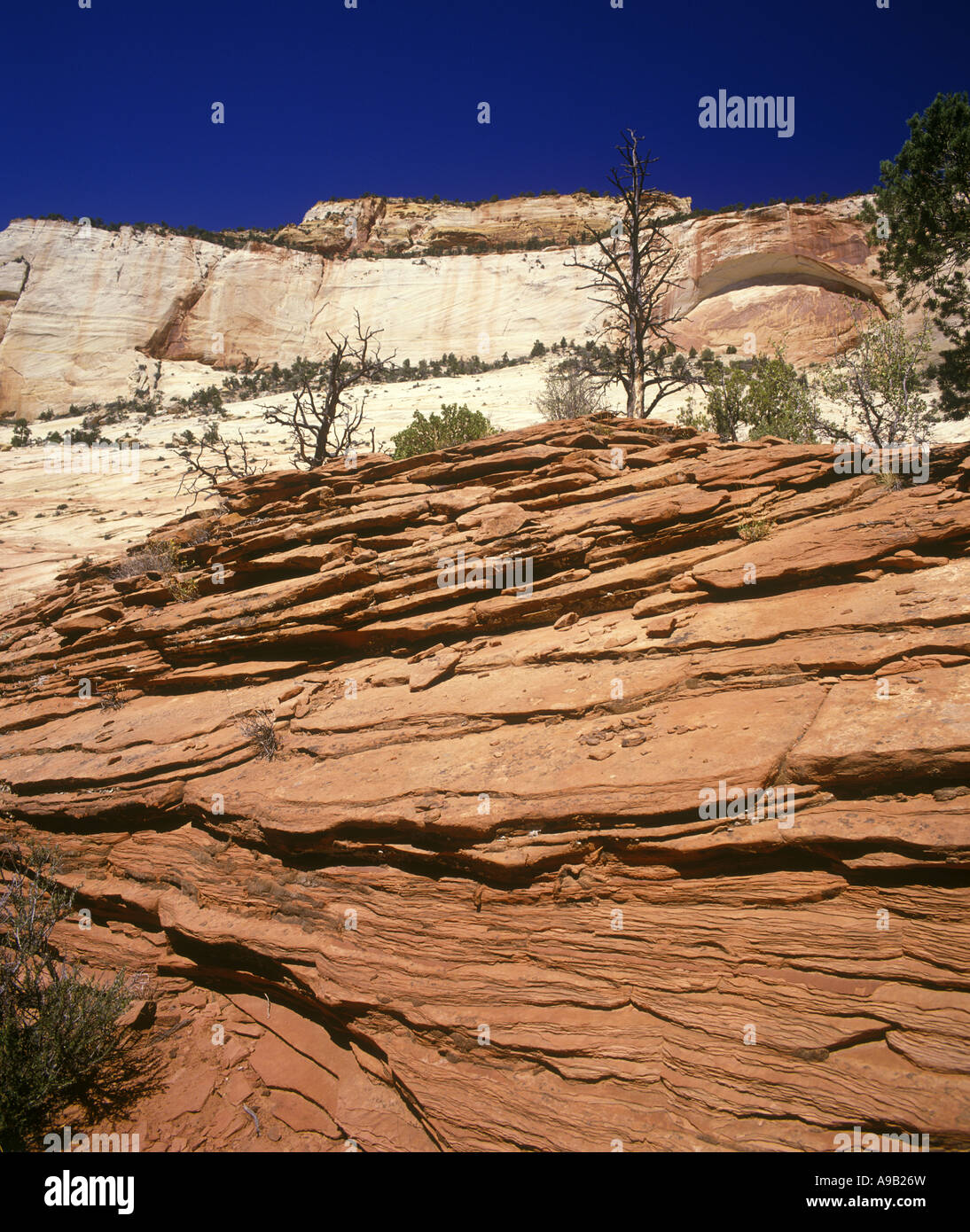 SCENIC MONTIEREN SPRY ZION NATIONALPARK, UTAH USA Stockfoto