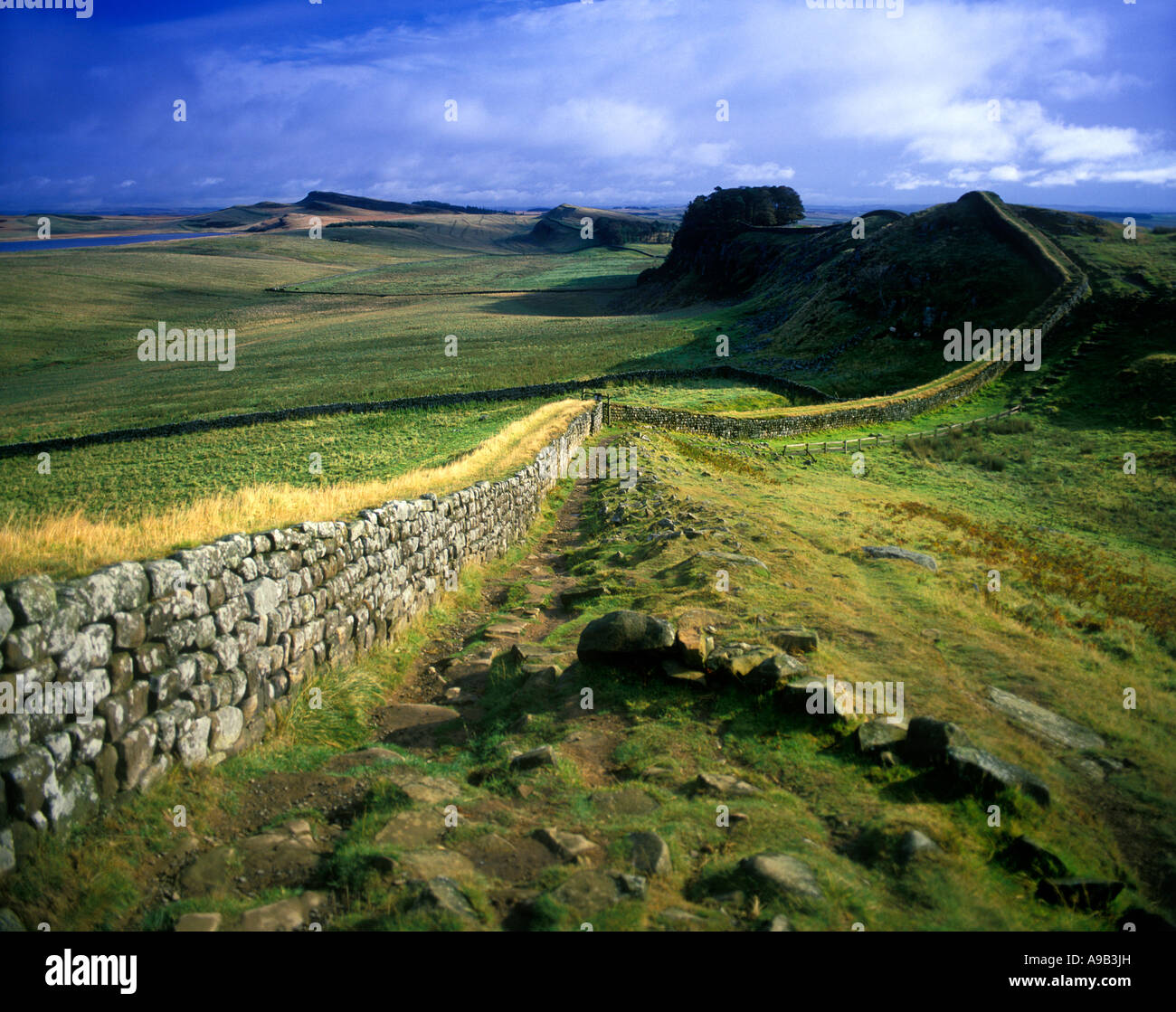 HADRIAN’S WALL RUINS HOUSESTEADS ROMAN FORT NORTHUMBERLAND ENGLAND GROSSBRITANNIEN Stockfoto