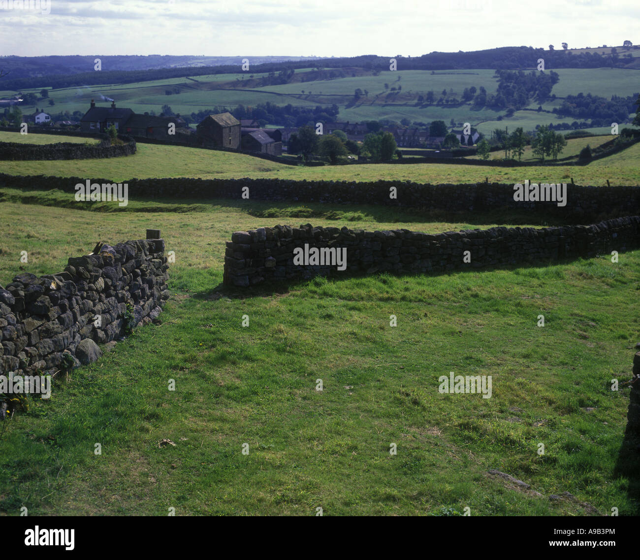 MALERISCHEN STEINMAUERN RIVERDALE YORKSHIRE ENGLAND UK Stockfoto