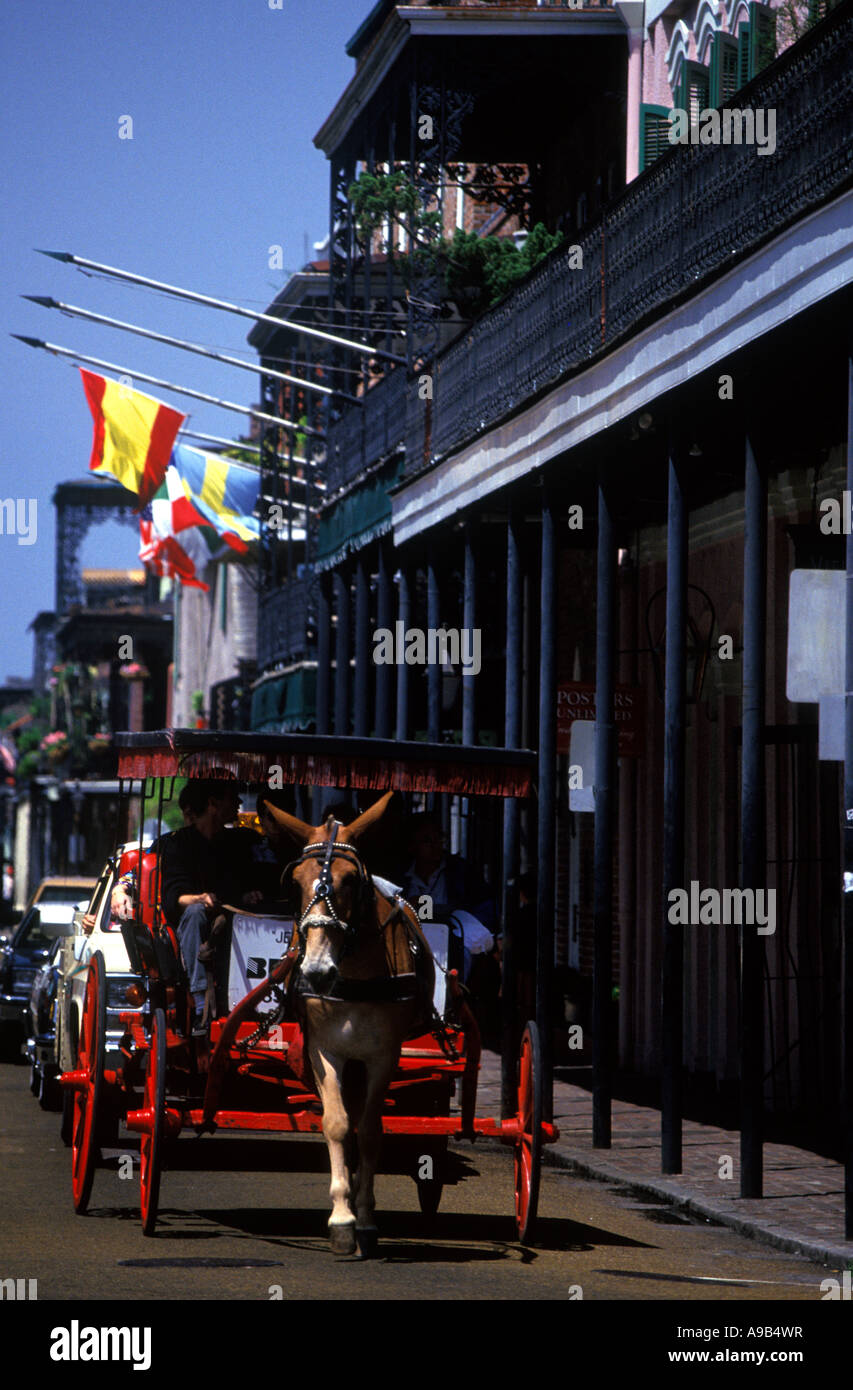 STRAßENSZENE SIGHTSEEING REITERTOUR FRENCH QUARTER NEW ORLEANS LOUISIANA USA Stockfoto