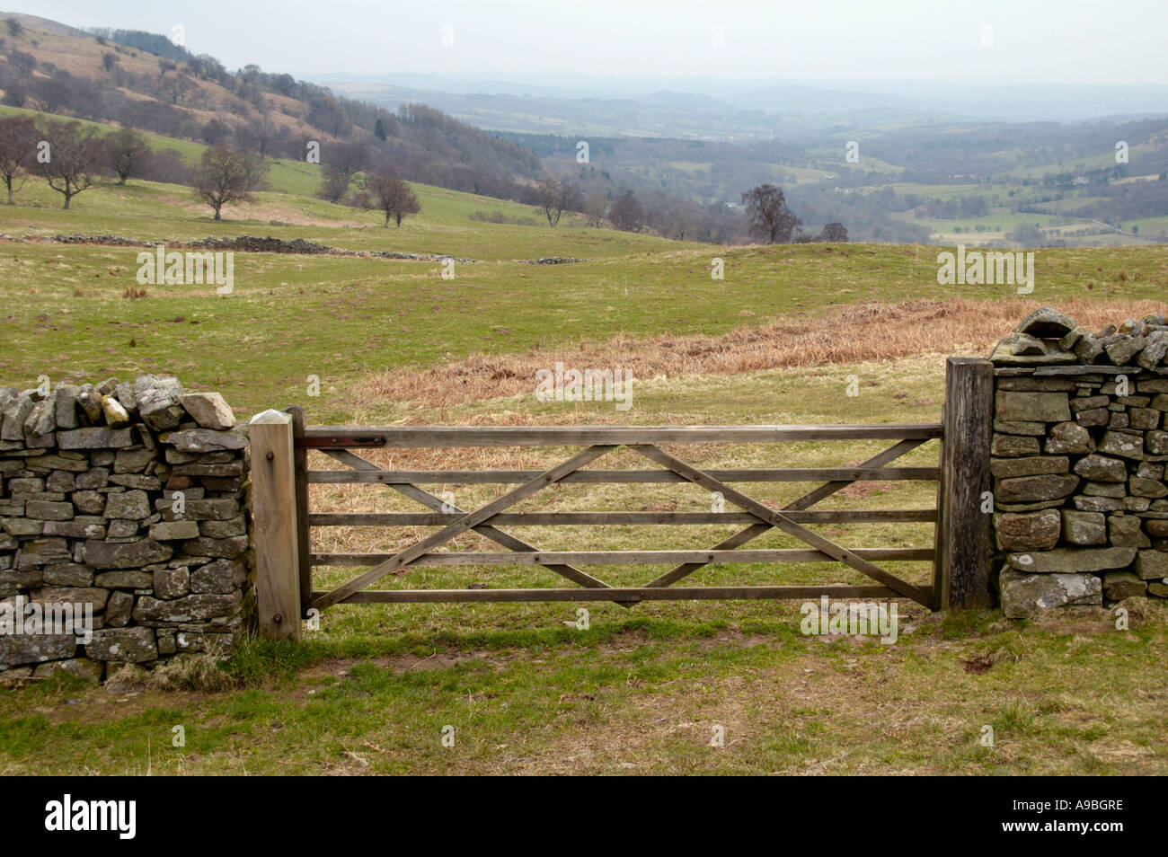 5 Bar gate bei Craig Cerrig Gleisiad ein Fan Frynych National Nature Reserve in Brecon Beacons National Park Powys South Wales Stockfoto