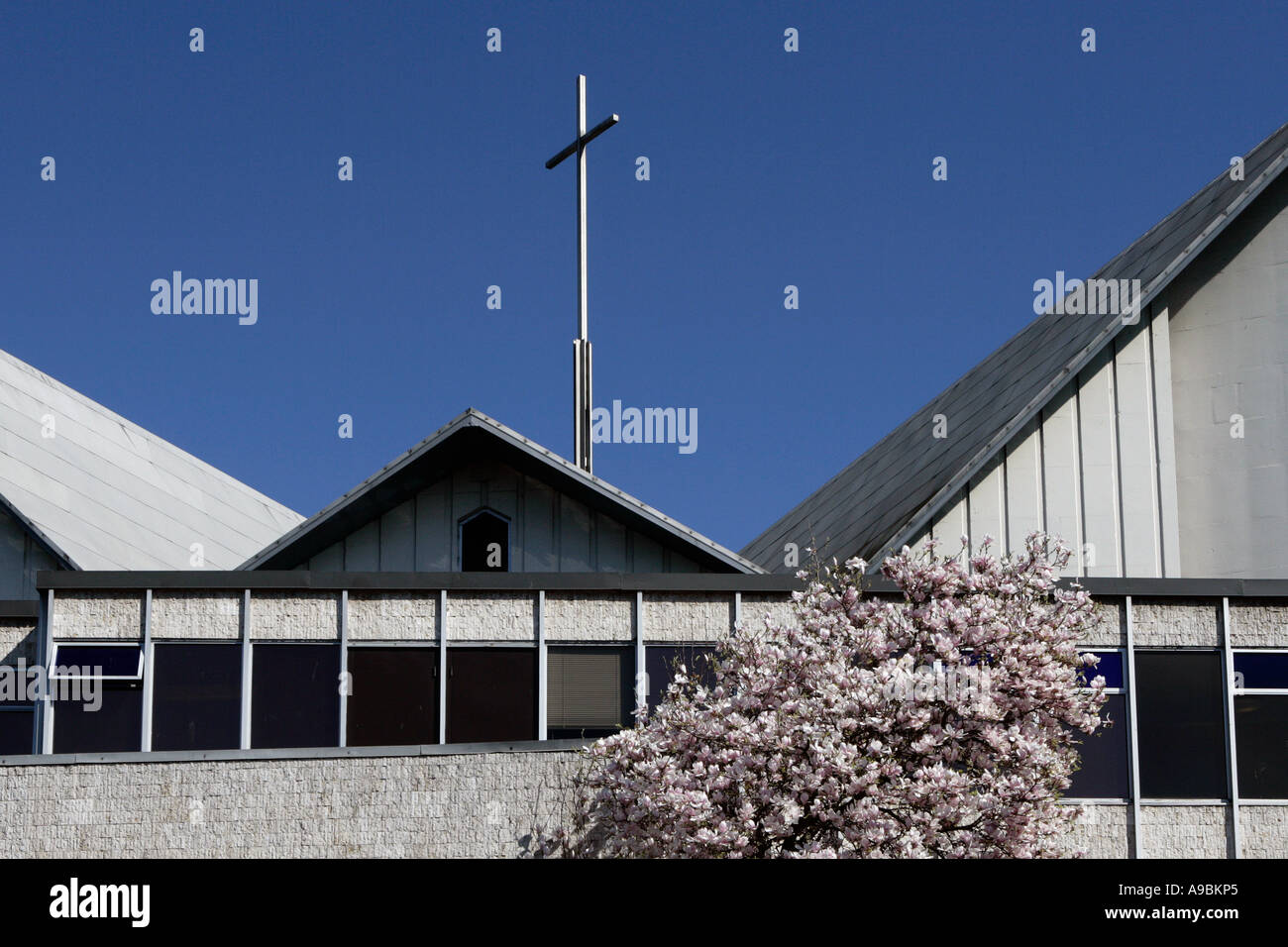 Kirchendach mit klarem blauen Himmel, Kirschbaum in Blüte im Vordergrund. Stockfoto