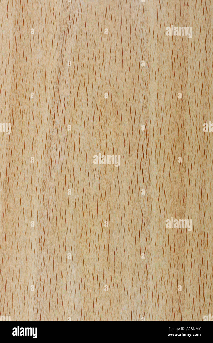 Makro-Hintergrundbild eines echten Holz Textur Birke oder Esche Stockfoto