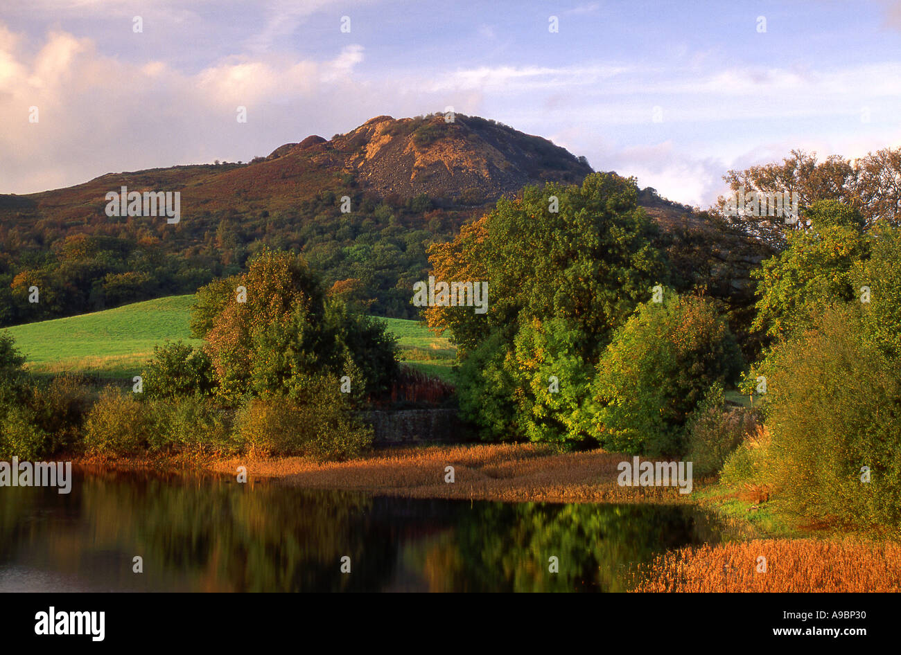 Teggs Nase und Bottoms Reservoir im Herbst Langley in der Nähe von Macclesfield, Cheshire England UK Stockfoto