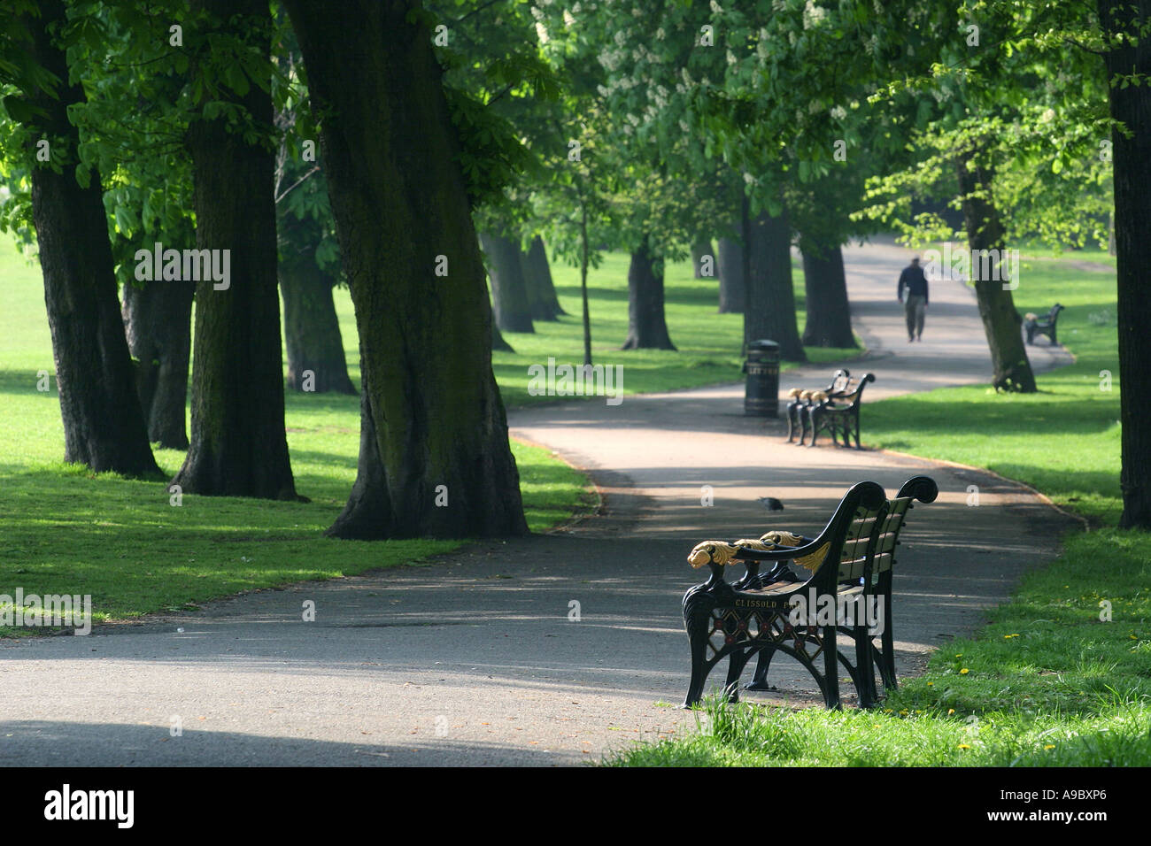 Ein Morgen Spaziergänger auf einem Pfad im Clissold Park, London, UK. 2006. Stockfoto