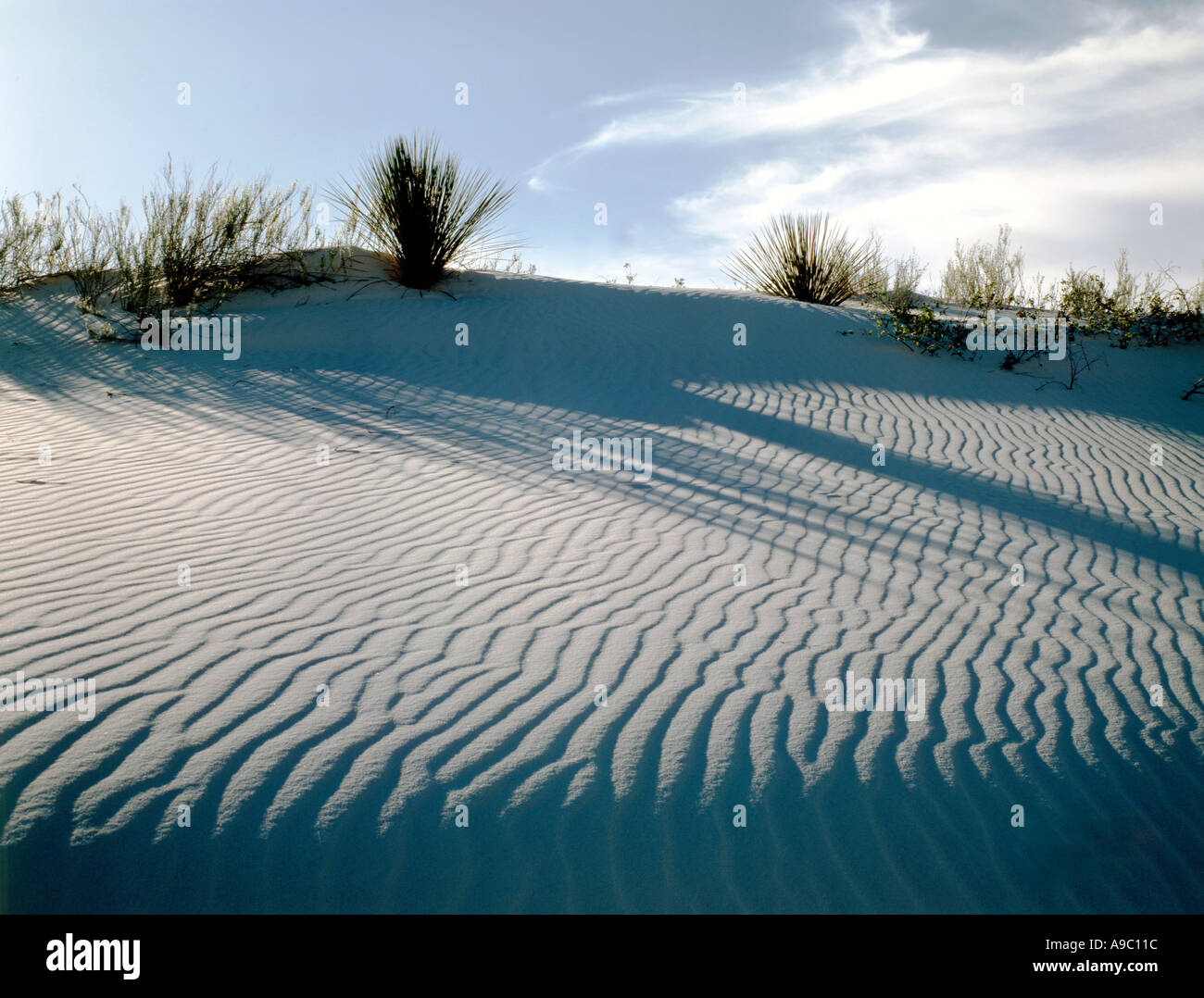 White Sands National Monument in der Nähe von Alamagordo New Mexico Stockfoto