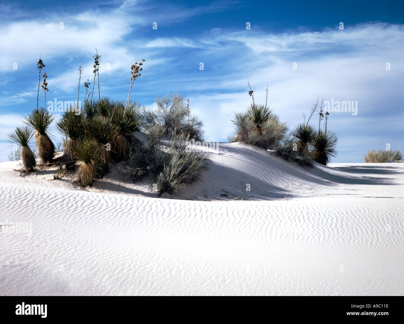 White Sands National Monument in der Nähe von Alamagordo New Mexico Stockfoto