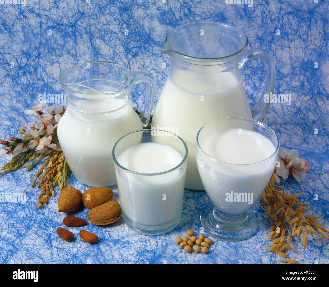Pflanzliche Milch Soja Milch Mandel Reis Hafer Stockfoto