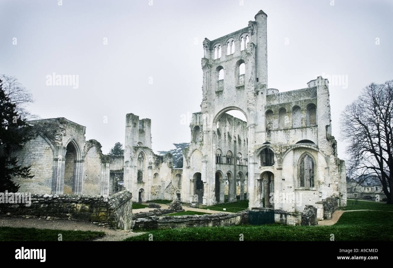 Ruinen der Abbaye de Jumieges, Normandie, Frankreich, Europa Stockfoto