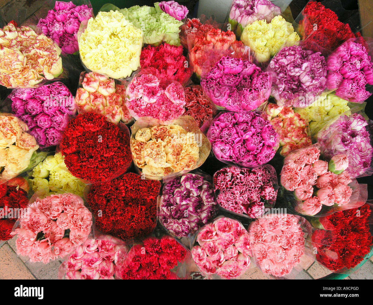 China Hong Kong Kowloon Mong Kok Blumenmarkt Straße Stockfoto