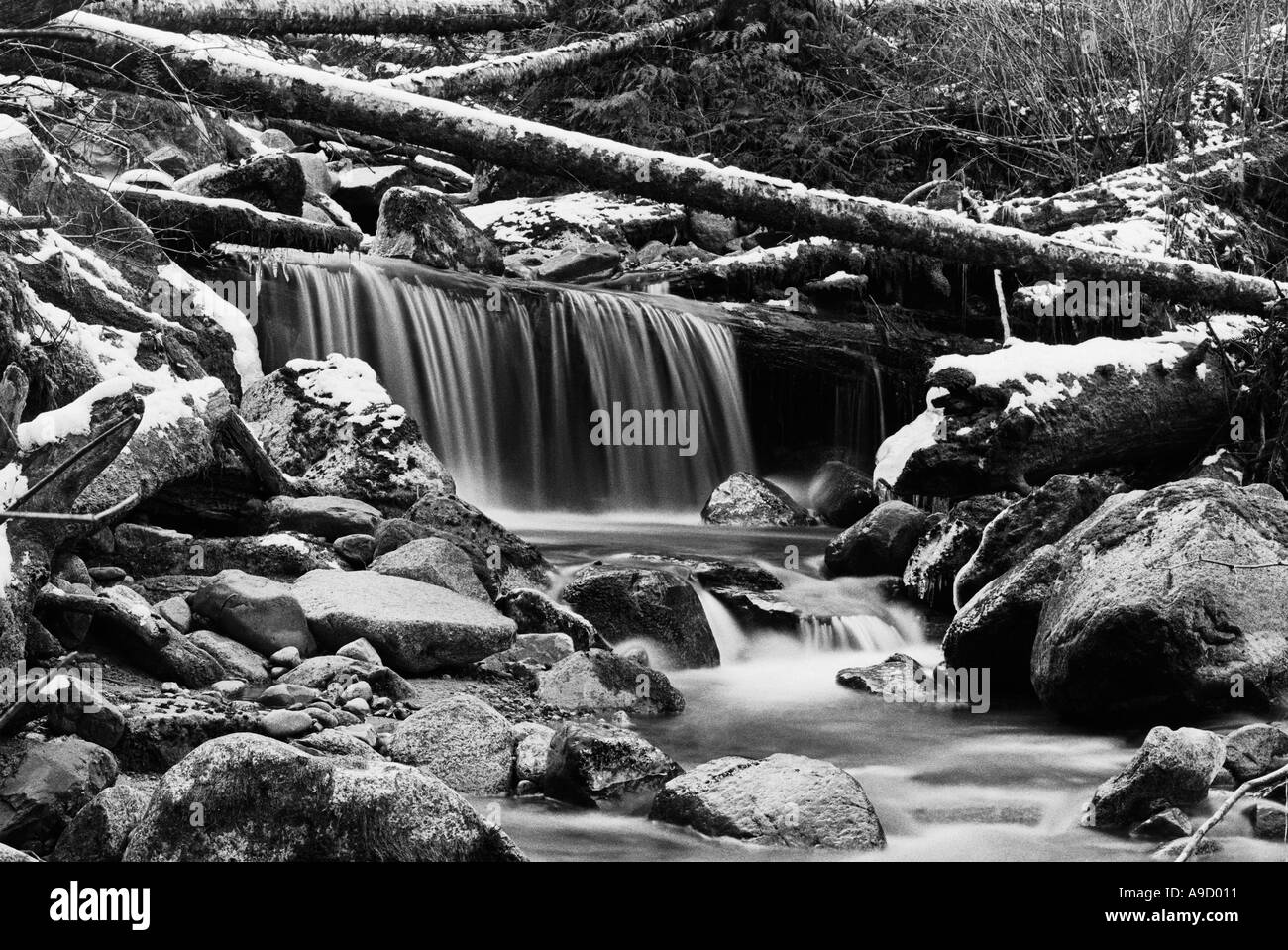 Ein Winter-Stream in den Cascade Mountains Staat Washington USA 1993 Stockfoto